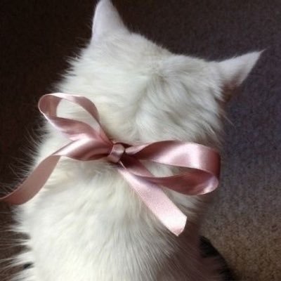 chichi__0213's profile picture