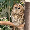 ぽちゃ☆ profil fotoğrafı