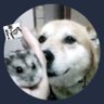 Profilbild von マス