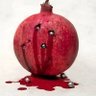 Profilbild von roodbood2