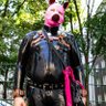 Фото профиля RubberPigTick