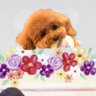 むー's profile picture