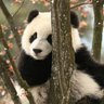 爽就完了 profil fotoğrafı