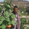 محمد الطلقي حساب بديل 的头像