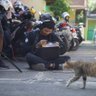 Aldi Kurniawan 的头像
