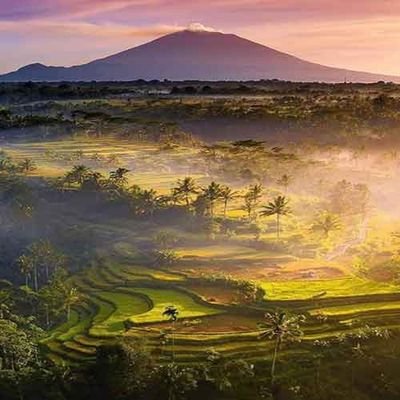 Putu Arta's profile picture