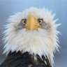Bowjohn's profile picture