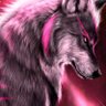 Nightwolf004 profil fotoğrafı