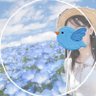 アケさん 的头像
