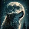 💎🧨Crypto_nite 🧨💎 的头像