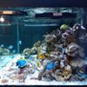 FISH ONLY profil fotoğrafı