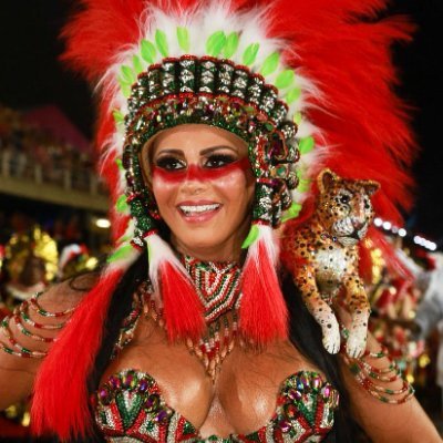 Acervo Salgueiro's profile picture
