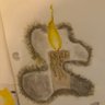 Profilbild von M