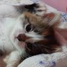 Фото профиля ♡ hum baby angel ♡