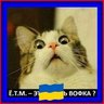 Perdoname profil fotoğrafı