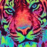 Beast's profile picture