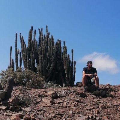 Bãlensiã 🌵's profile picture