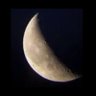 Lunastorta's profile picture