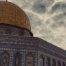 Фото профиля kassem