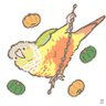 Profilbild von そら(かぼちゃの飼い主)🎃