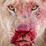 Trevor's profile picture