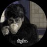 Profilbild von حارث