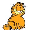 Lady Bird's profile picture