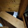 Profilbild von The cat