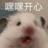 0537 的头像