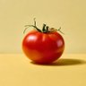 Profilbild von Tomate #BBB25