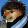 Profilbild von CheemsLibertario 🐕🐍✊