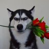 Фото профиля たじま