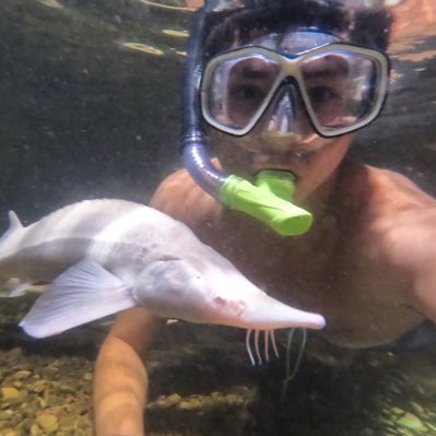 CowTurtle9427's profile picture