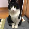 ニモニモ profil fotoğrafı