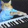 Profilbild von KEYCAT
