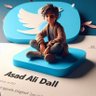 Asad Ali Dall 的头像