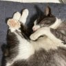 徹底くん profil fotoğrafı