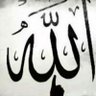 MuhammadQasimImammahdi's profile picture