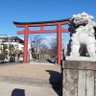 きのこの山派 profil fotoğrafı