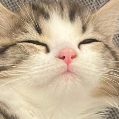 うらら's profile picture