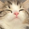 うらら's profile picture