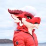 Cyn ➡️ FANG's profile picture