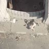 Фото профиля ibrah