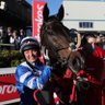 Profilbild von Deephorses Club