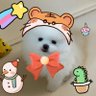 Ꮚmia✿❥ 的头像