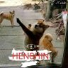 Doge Rider profil fotoğrafı