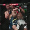 Entre Ocho Paredes | Historias sobre las MMA 的头像