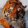 Pablo's profile picture