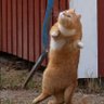 ミルキーはママの味 profil fotoğrafı