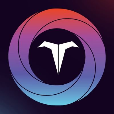 TorusChain's profile picture